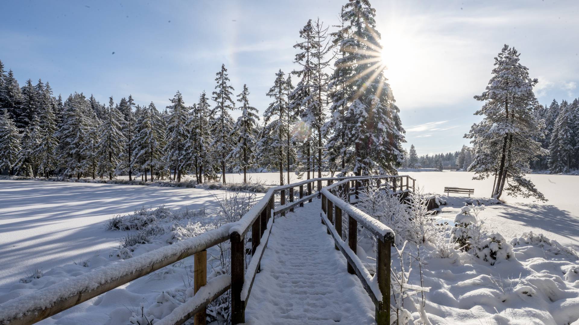 Verschneiter Steg am Fichtelsee, umgeben von winterlichem Wald