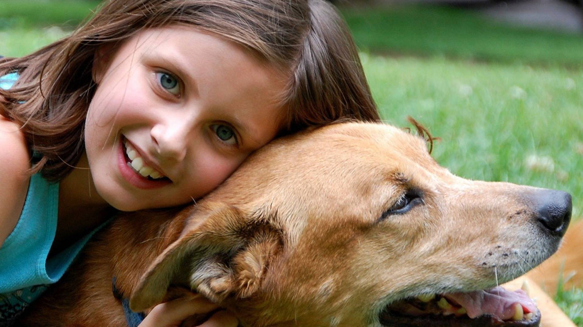 Kind kuschelt mit einem Hund auf einer Wiese