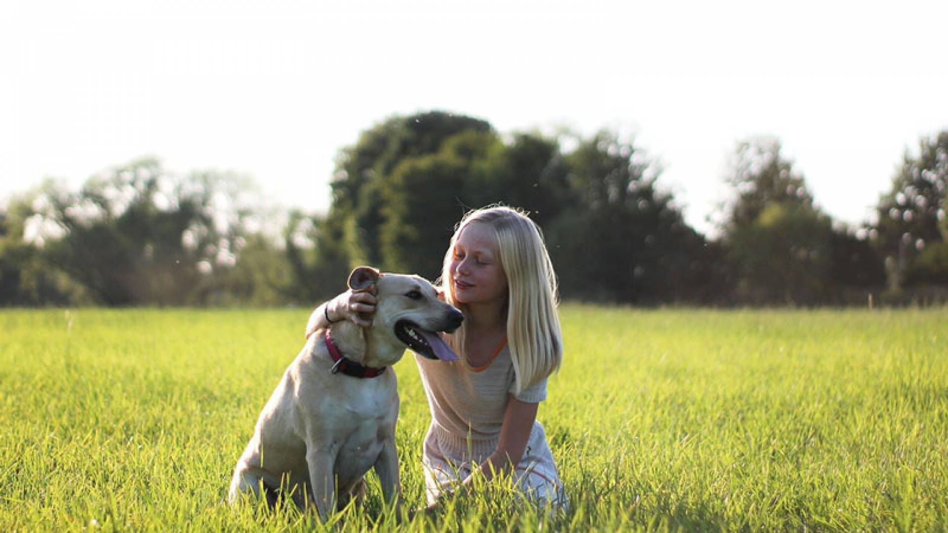 Blondes Mädchen mit Hund auf einer Wiese