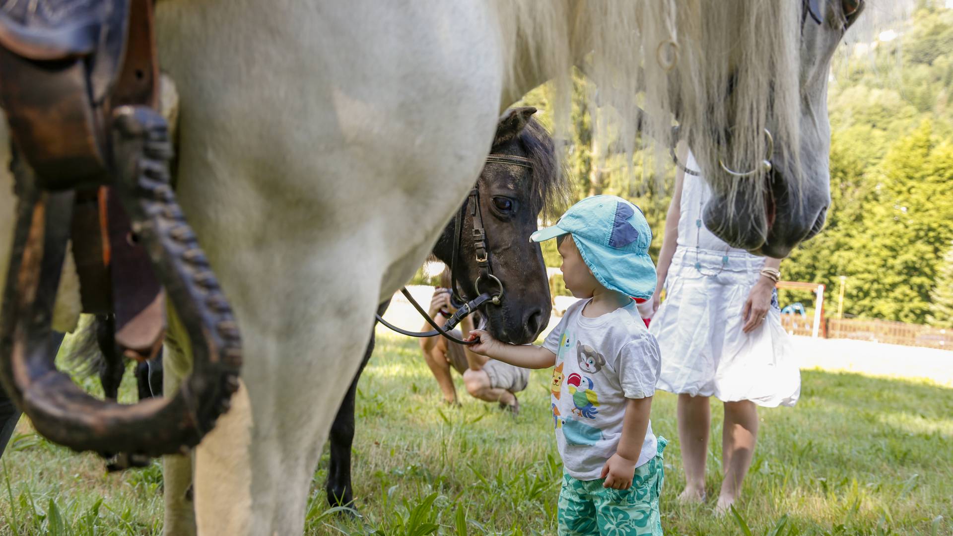 Kleinkind beim Ponyreiten auf einer Wiese